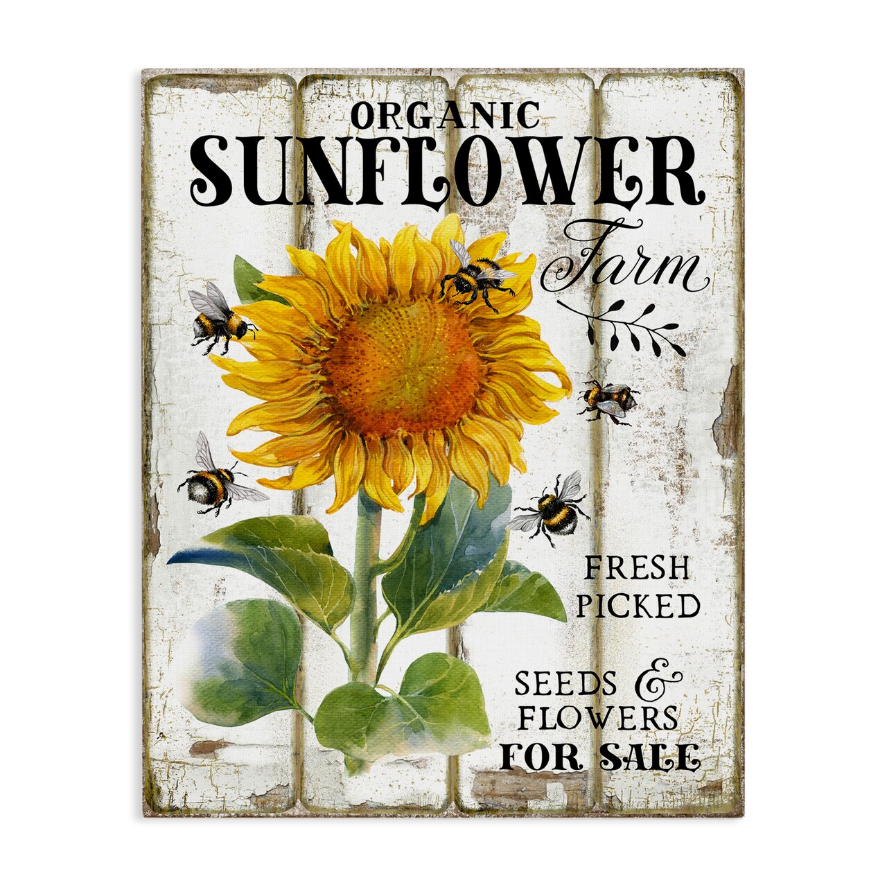 Stupell Industries Organic Sunflower Farm Canvas Wall Art Design by Creatif Belle